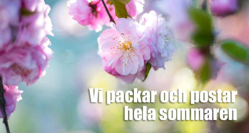 FROSTnollåtta