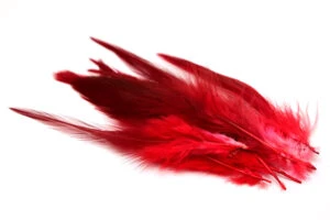 Färgade fjädrar Röd, 10st