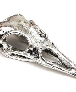 Antik berlock Fågelskalle kranium Platt